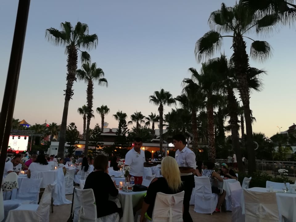 Pool Hane Family Resort