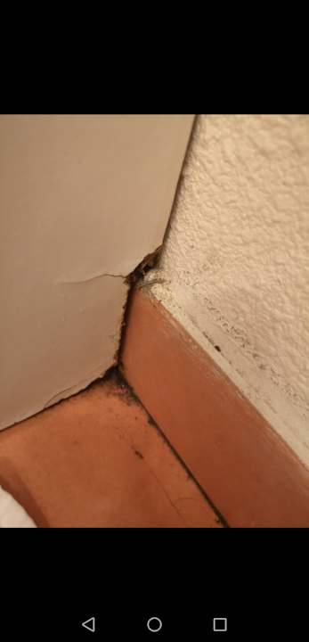 Zimmer Garden & City Marcy