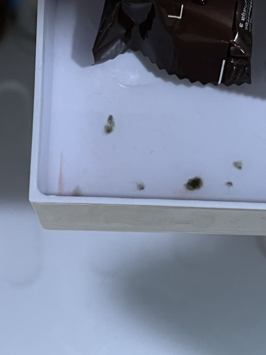 Zimmer Hotel Aziza Sarajevo