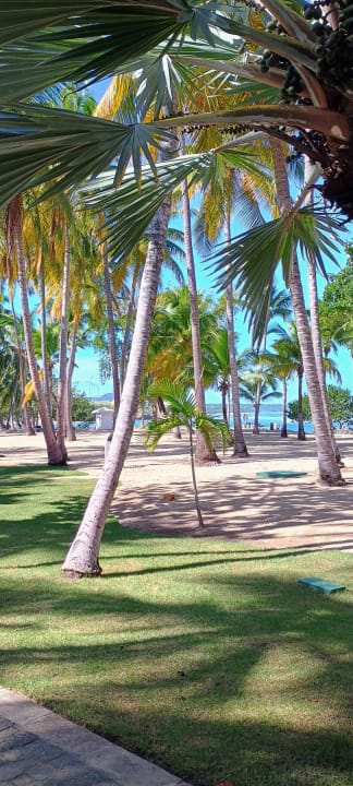 Strand Playabachata Hotel