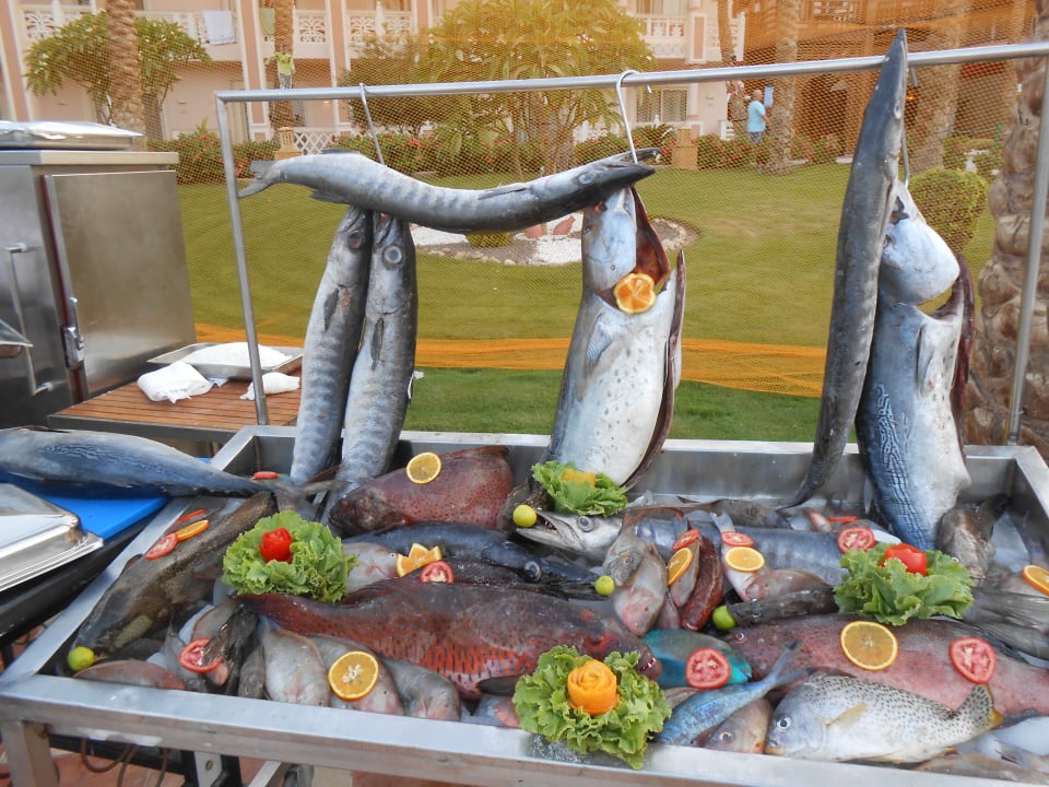 Gastro Pickalbatros Palace Resort