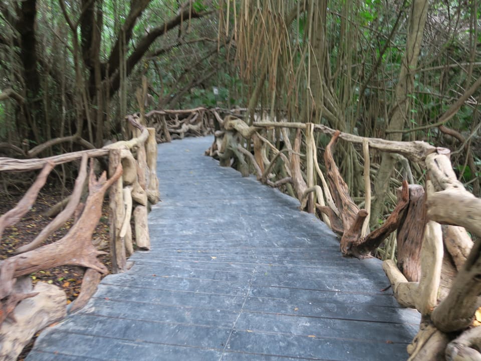 Gartenanlage Sandos Caracol Eco Resort & Spa Select Club Adults only - All Inclusive