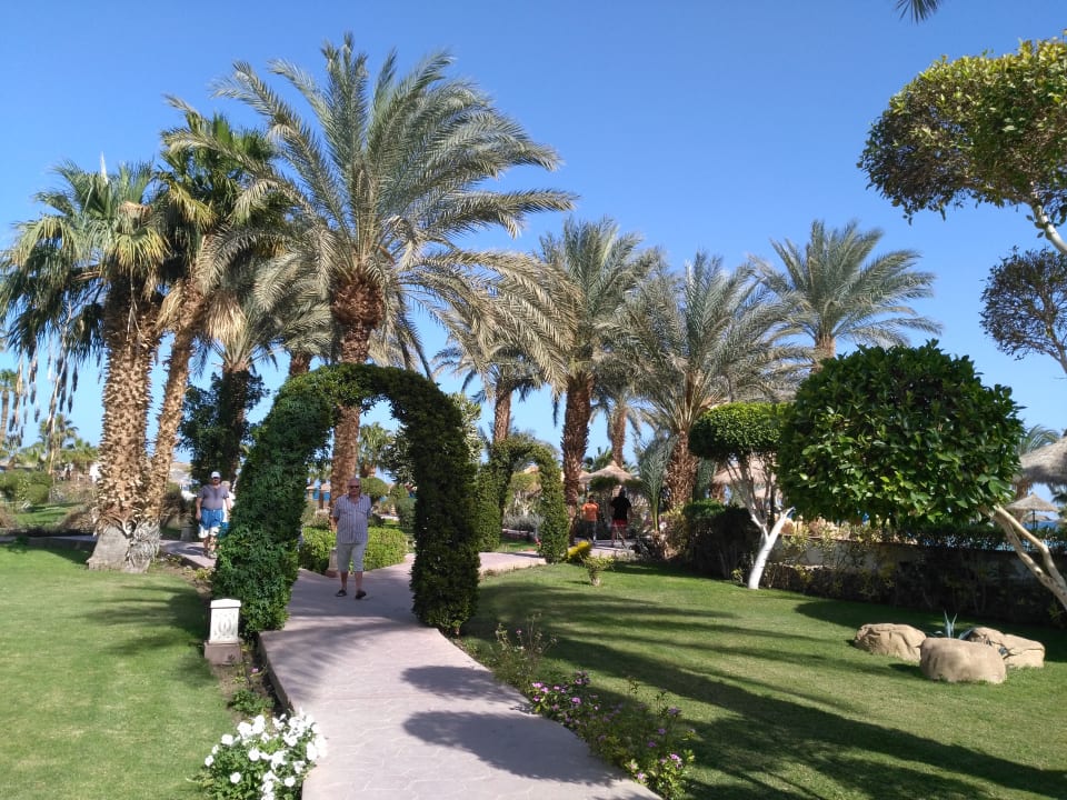 Gartenanlage Lotus Bay Beach Resort