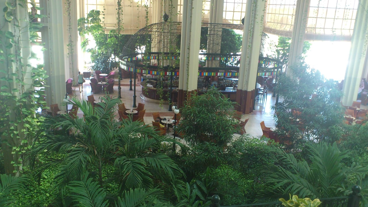 Blick auf die Bar  Blau varadero - Adults only