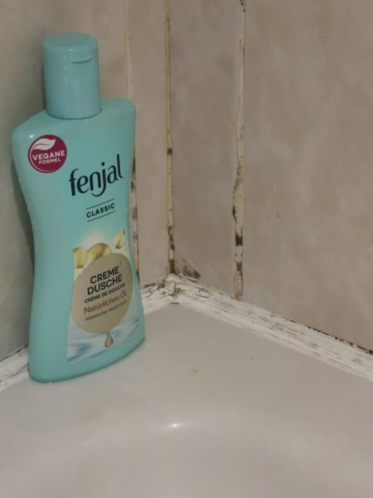 Zimmer Club Hotel Mirabell