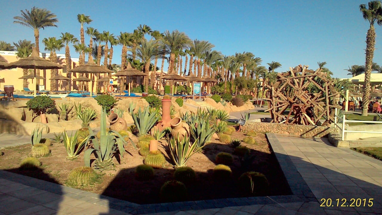 Weihnachten / Silvester 2015/2016 Pickalbatros Aqua Vista Resort - Hurghada