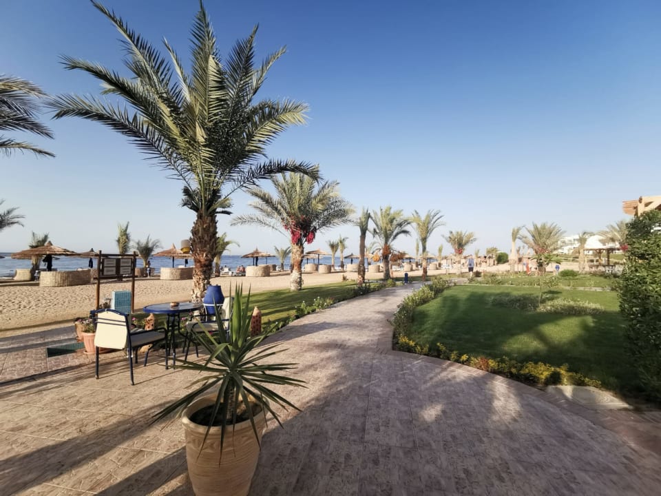 Gartenanlage Coral Sun Beach