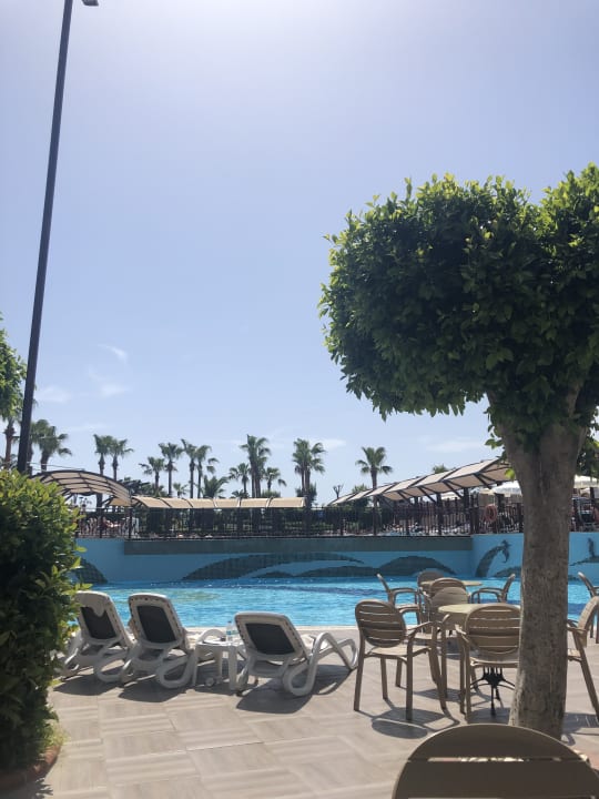 Pool Aydinbey Kings Palace & Spa