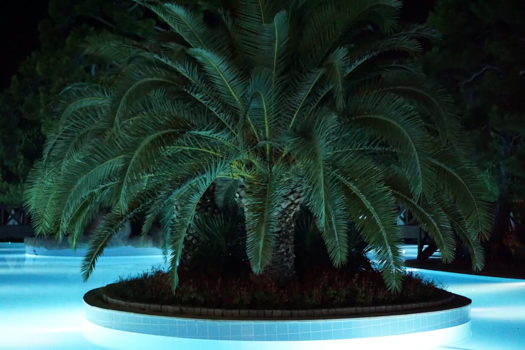 Pool Blue Waters Club