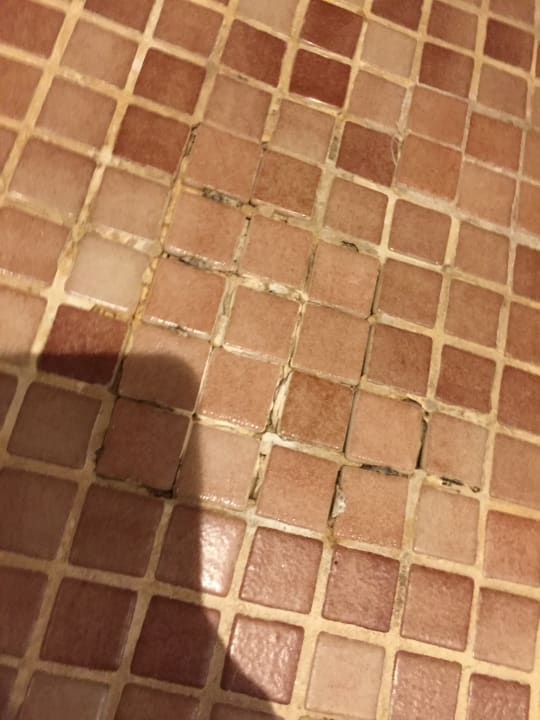 Zimmer allsun App.-Hotel Albatros