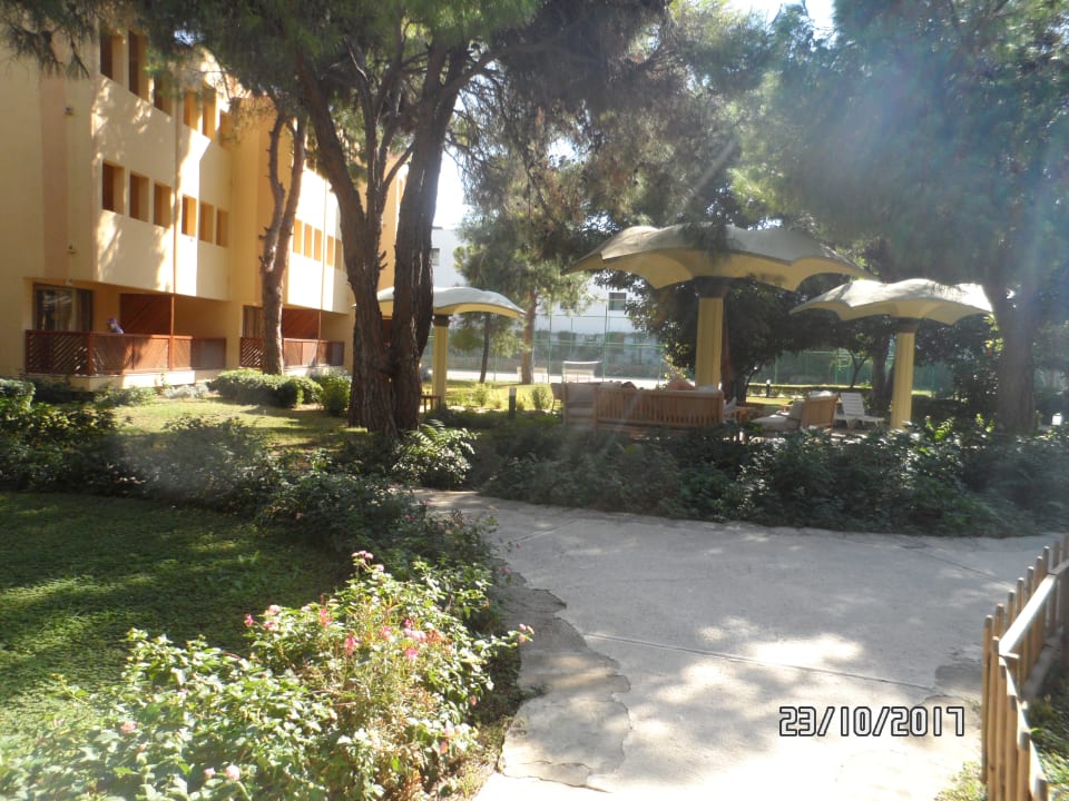 Blick in die Gartenanlage Asteria Collection Side