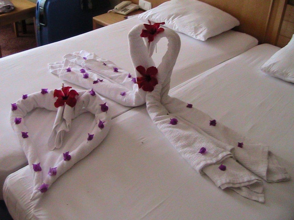 Zimmermädchen Alba Resort Hotel