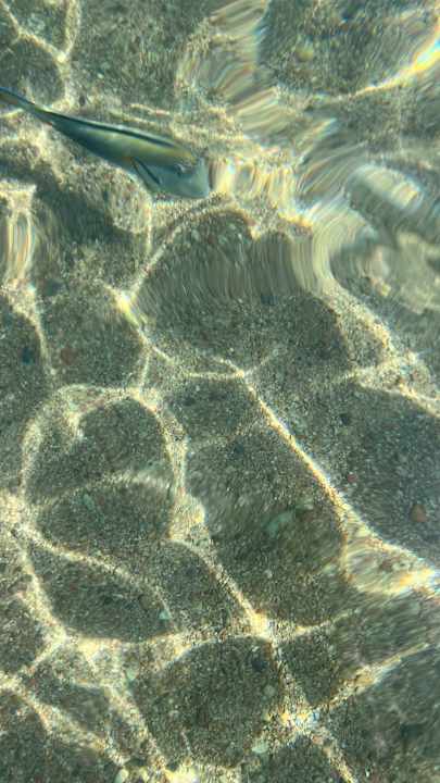 Strand Royal Star Beach Resort