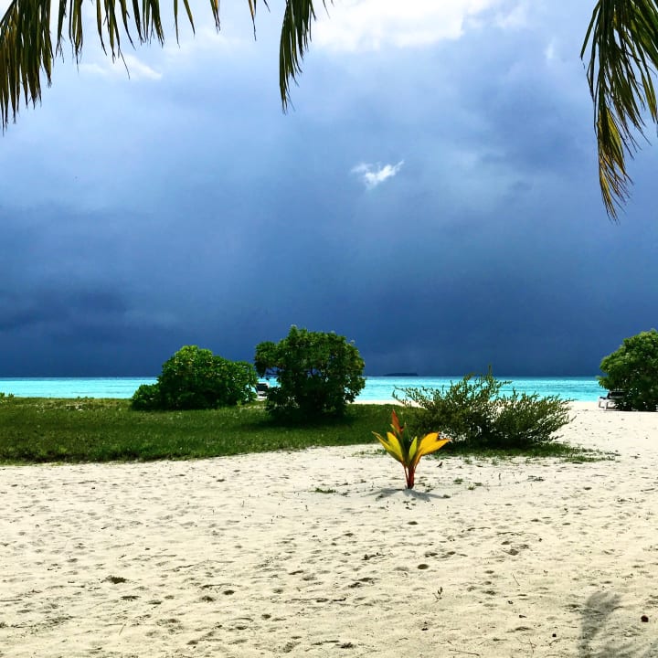 Strand Meeru Maldives Resort Island