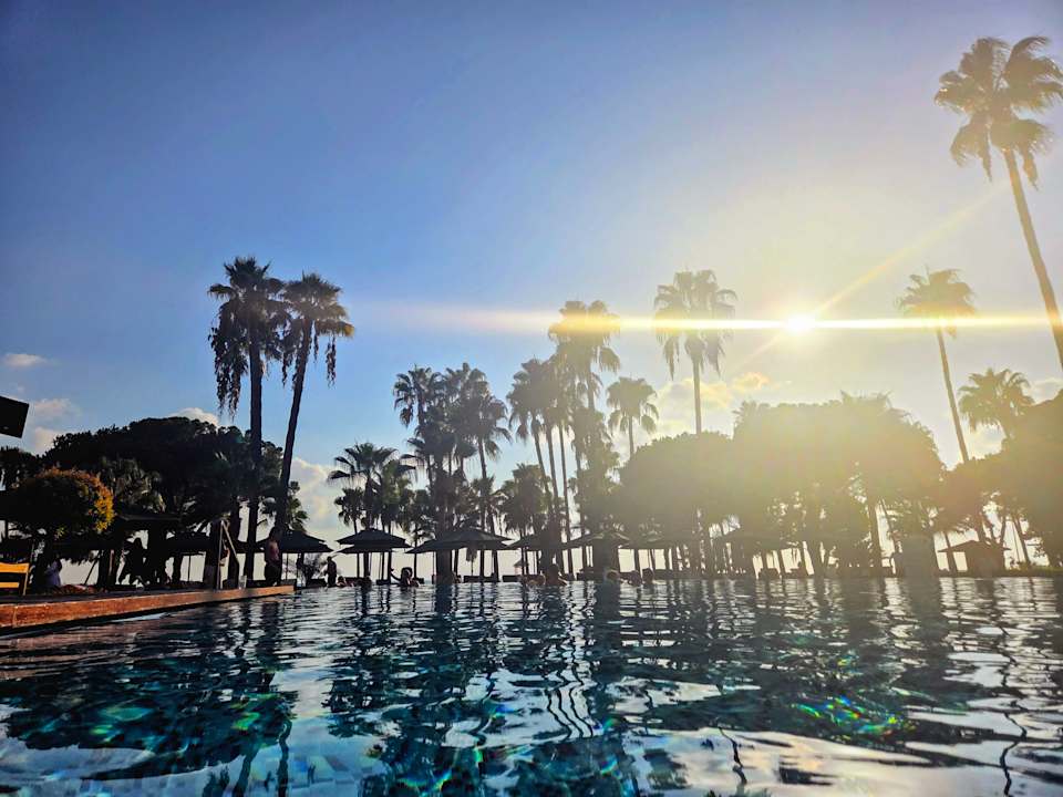 Pool Acanthus Cennet Barut Collection