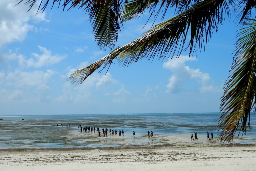 Ebbe Hotel Traveller's Club