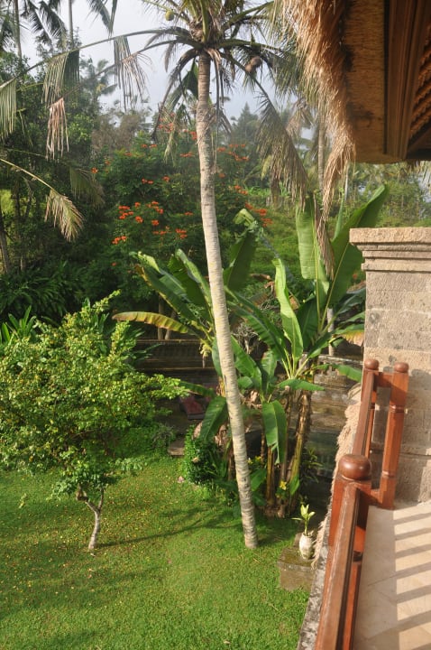 Garten vor unserer Villa The Payogan Villa Resort & Spa