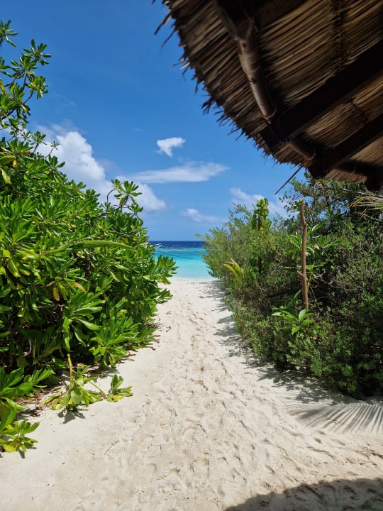 Ausblick Embudu Village