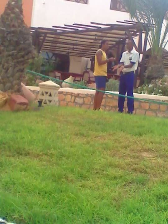 Animatieur am Pool Vincci Safira Palms