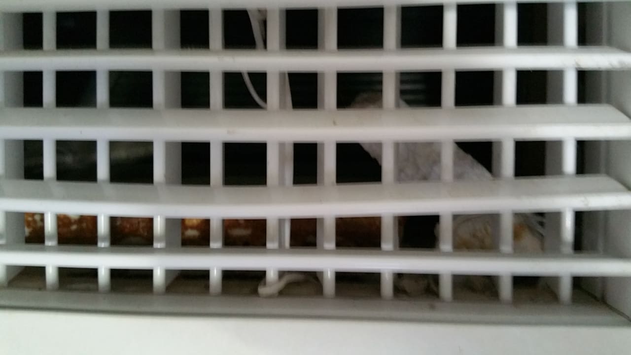 Zimmer PortoBay Falésia