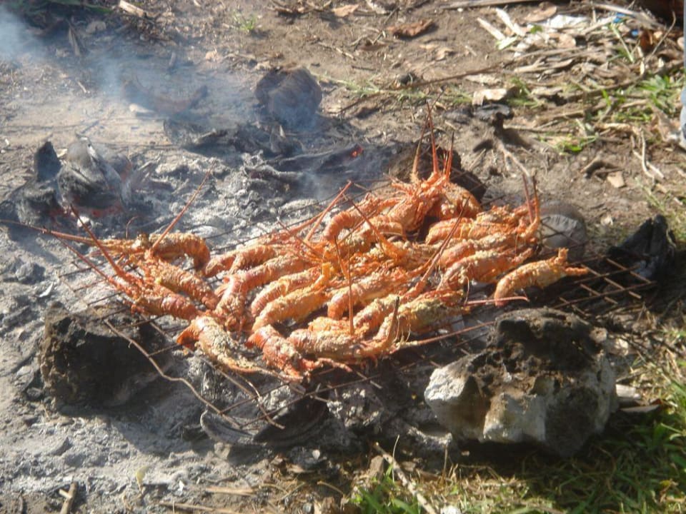 Lobster frisch vom Kokosnussgrill Neptune Paradise Beach Resort & Spa