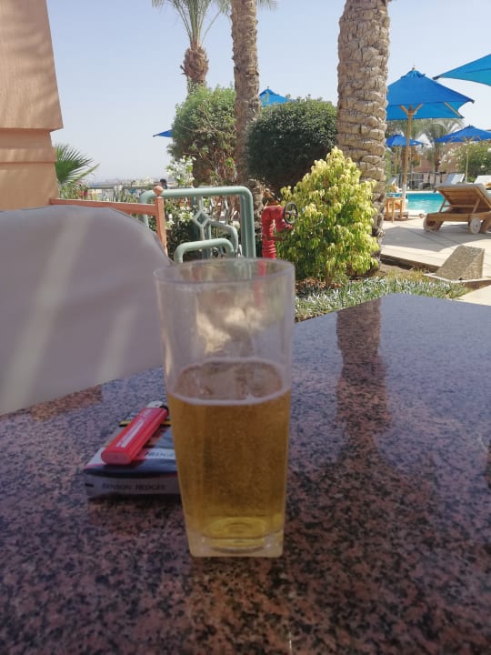 Gastro Shams Prestige Abu Soma-Adults Only