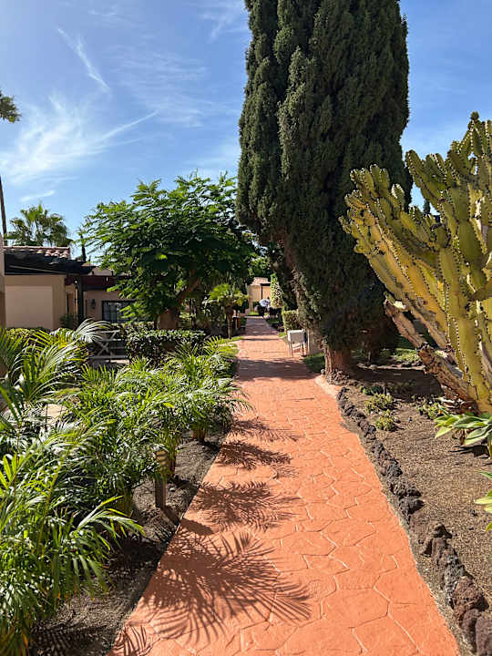 Gartenanlage allsun Hotel Esplendido