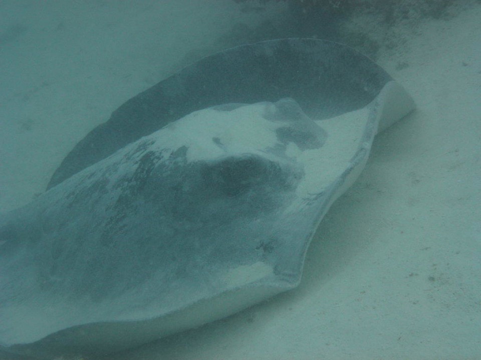 Rochen NH Collection Maldives Reethi Resort