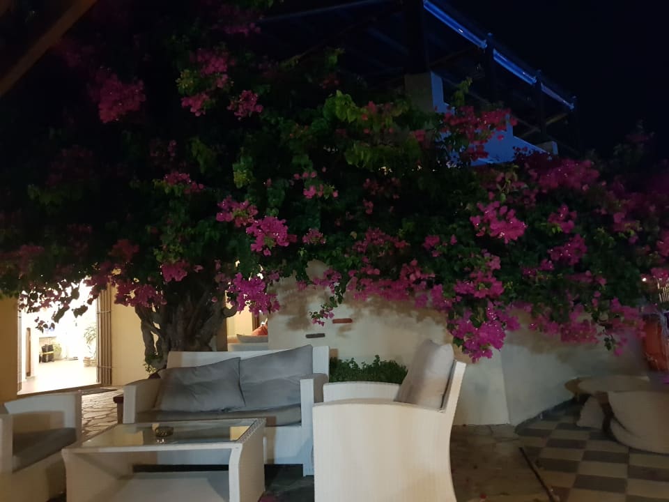Gartenanlage Gaia Garden Hotel