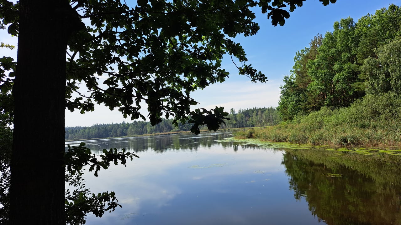 Ausblick Sole Felsen Hotel