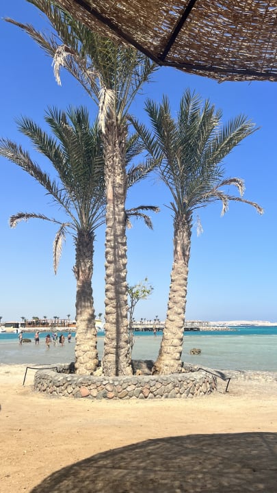 Strand JAZ Elite Casa del Mar Beach