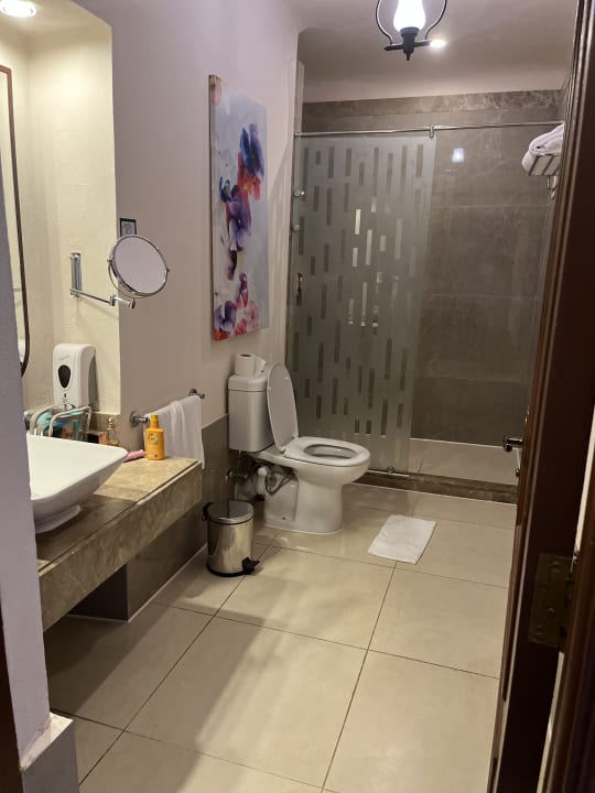 Zimmer Pickalbatros Citadel Resort