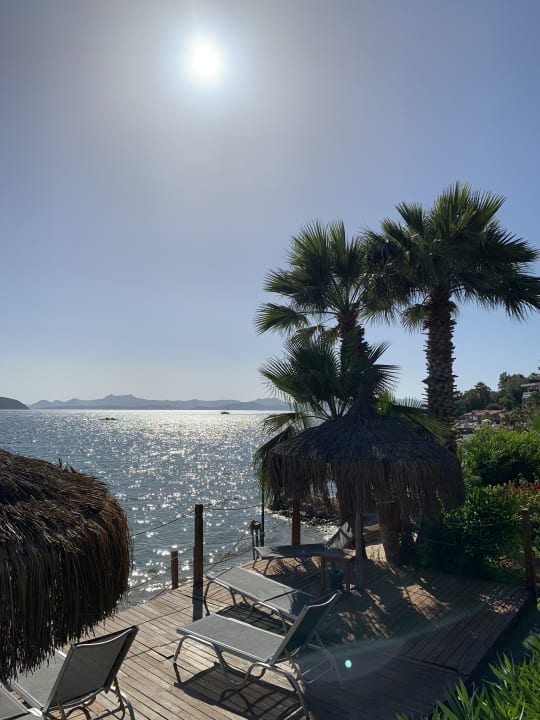 Strand TUI MAGIC LIFE Bodrum - Adult Only (16+)