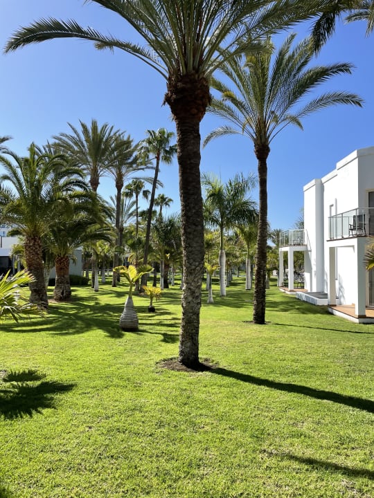 Gartenanlage Hotel Riu Palace Meloneras
