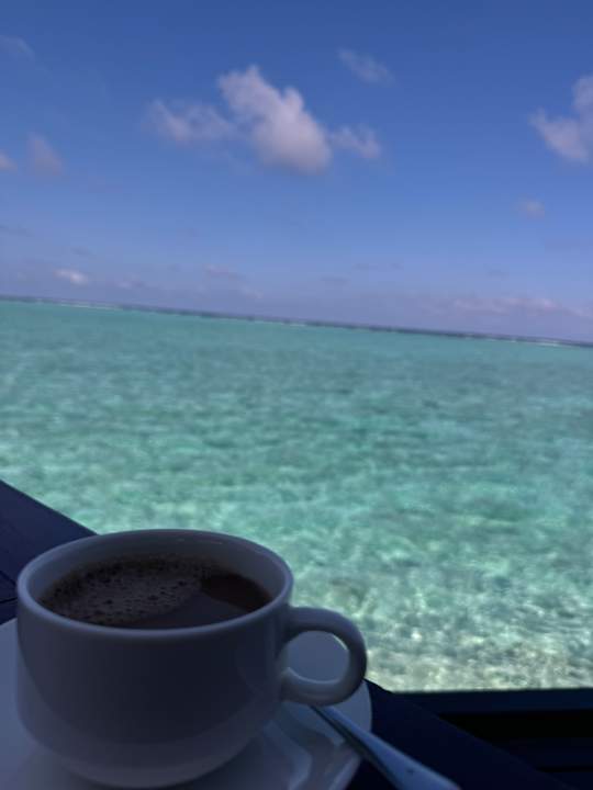 Gastro Summer Island Maldives