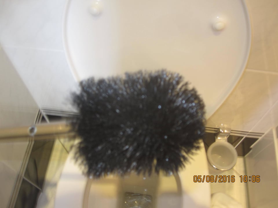 Toilettenbürst Alexander Hotel