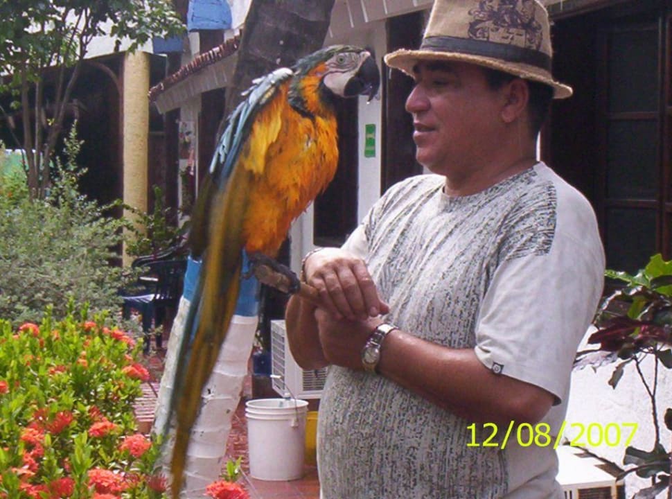 Der Papagei Hotel Miramar Village