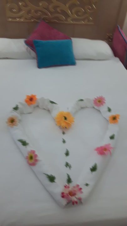 Zimmer Crystal Family Comfort Collection