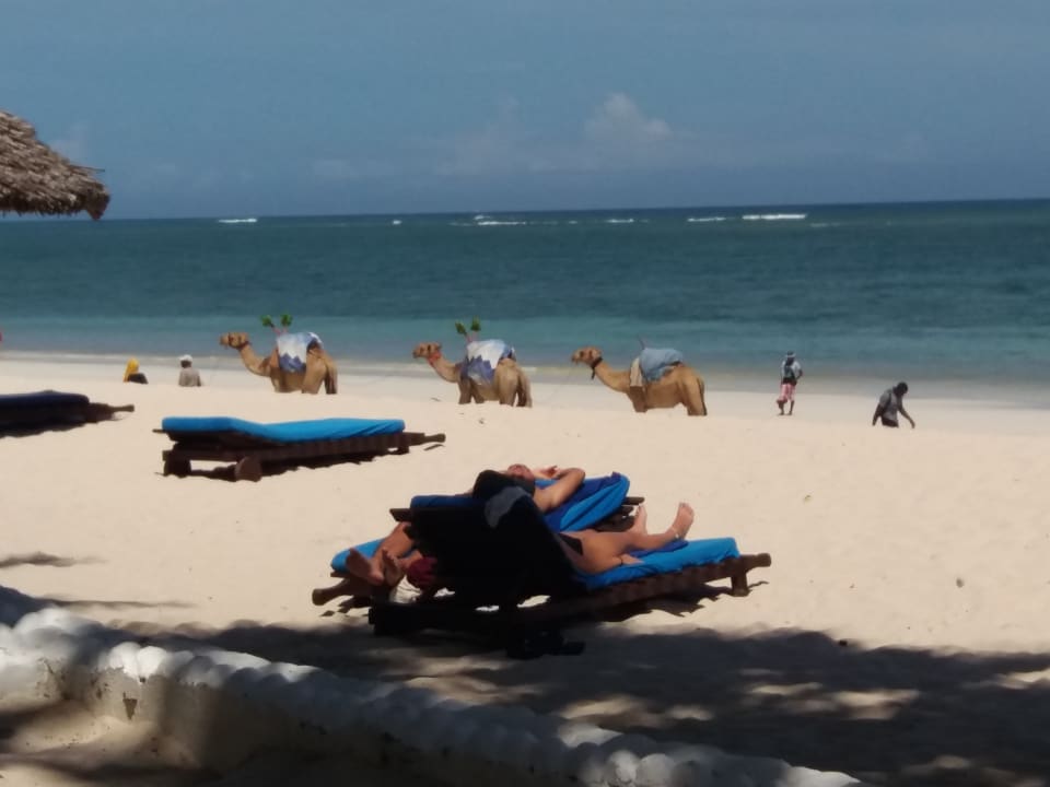 Strand Hotel Southern Palms Beach Resort