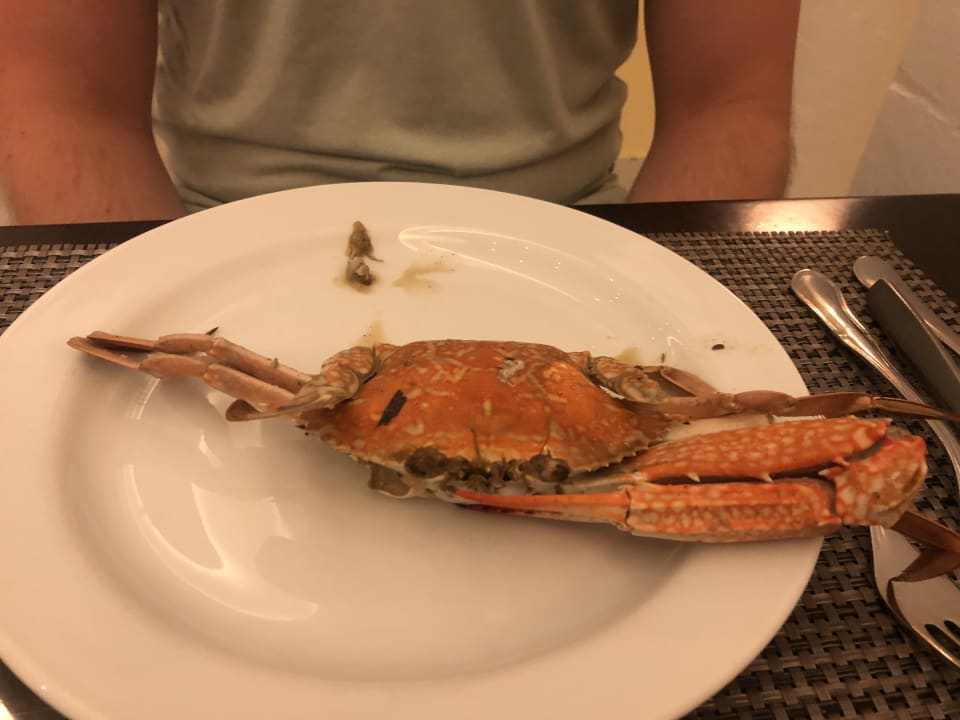 Gastro Hotel Marhaba Beach