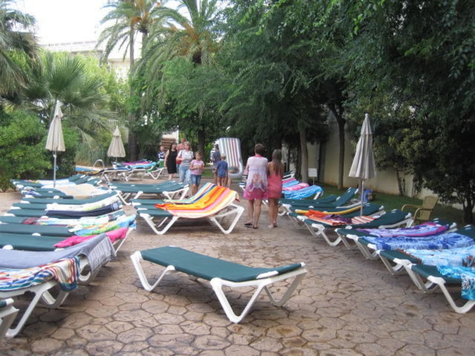 Alles schön eng Protur Palmeras Playa Aparthotel