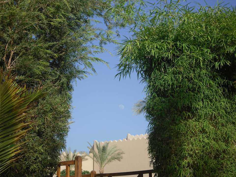 Nachmittags den Mond sehen Ghazala Gardens