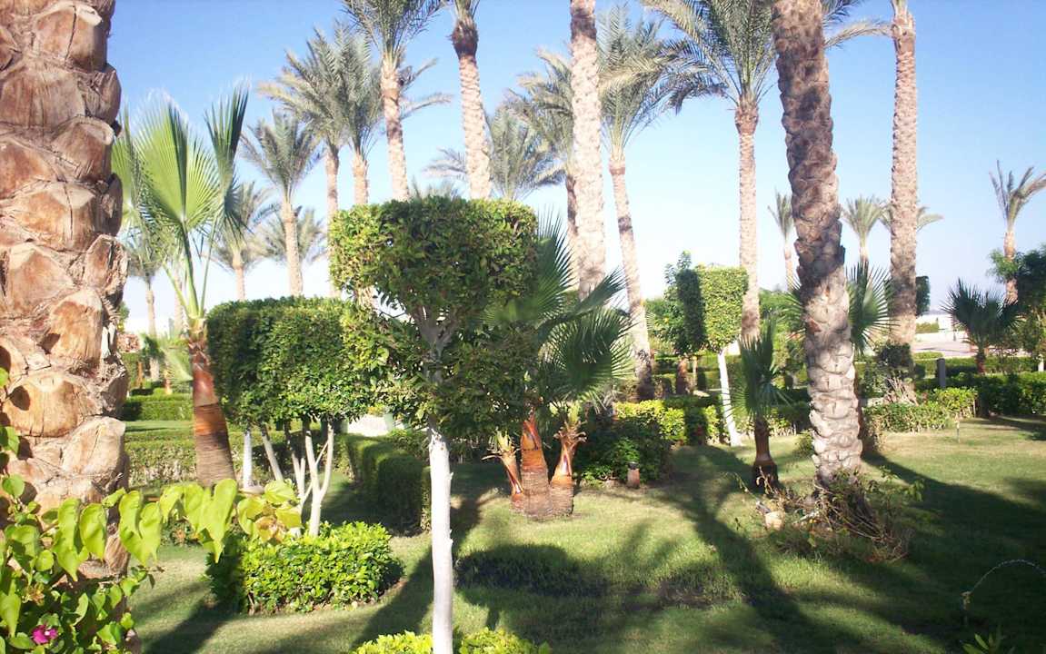 Растительность Riviera Aqua Park Resort