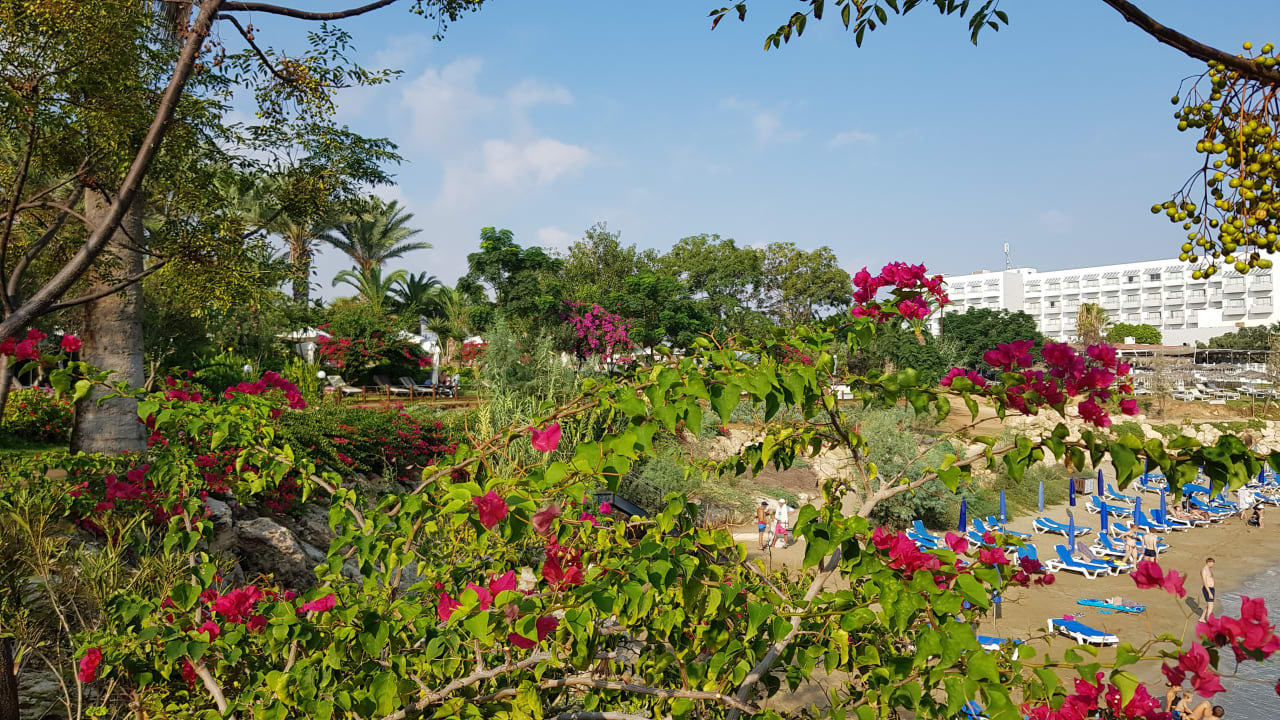 Strand Crystal Springs Beach Hotel