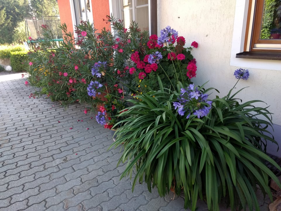 Außenansicht Ferienhof Buchberger