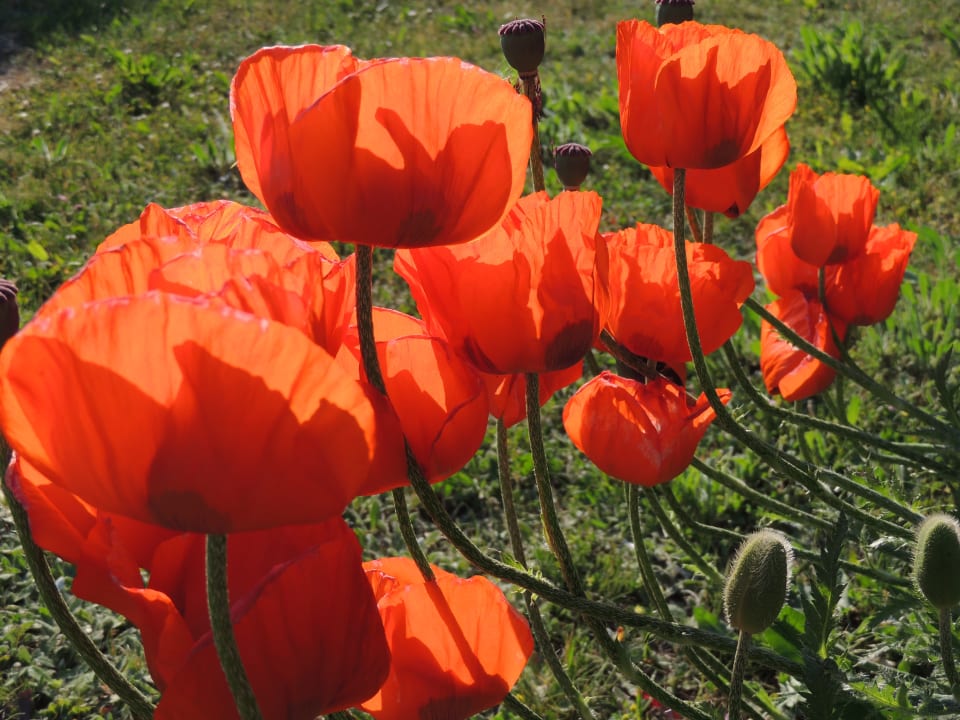 Strand Gästehaus Sonnenstrand Mönchgut