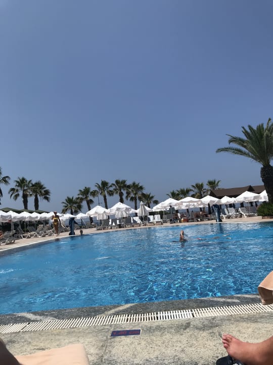Pool Hotel Botanik Platinum