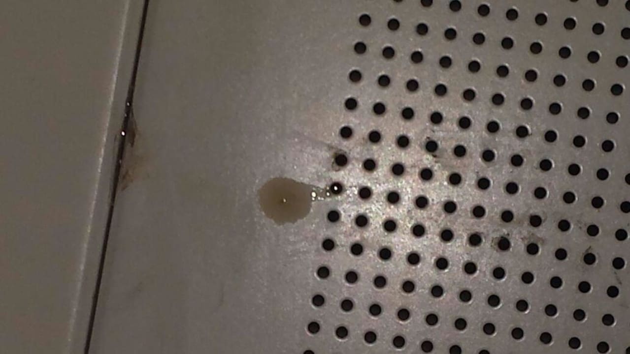 Wasser kam von der Decke AQI Pegasos World