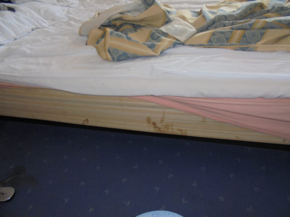 Zimmer Grandhotel Varna