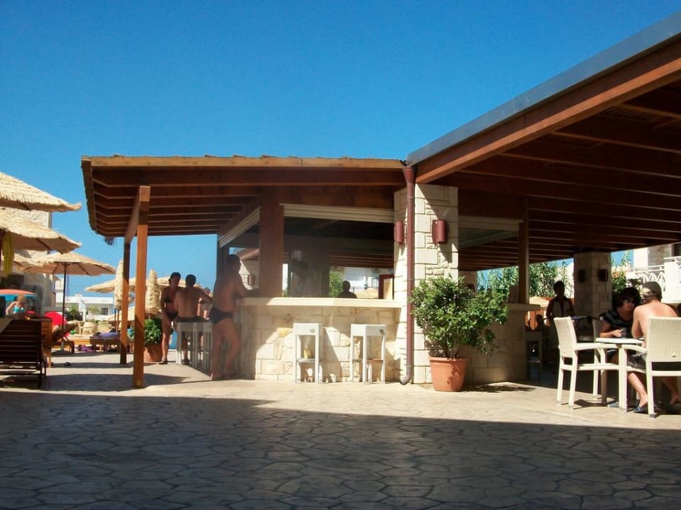 Pool-Bar Cactus Royal